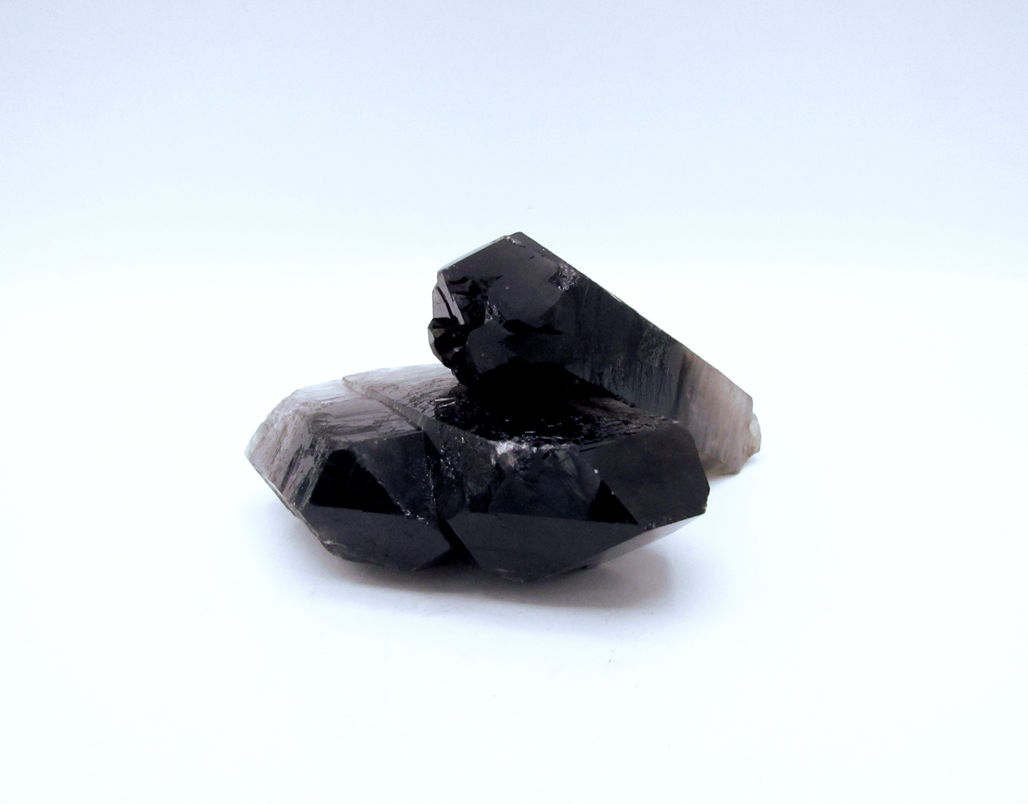 Specimen Grade Smoky Quartz | Grade A Smoky Quartz Cluster