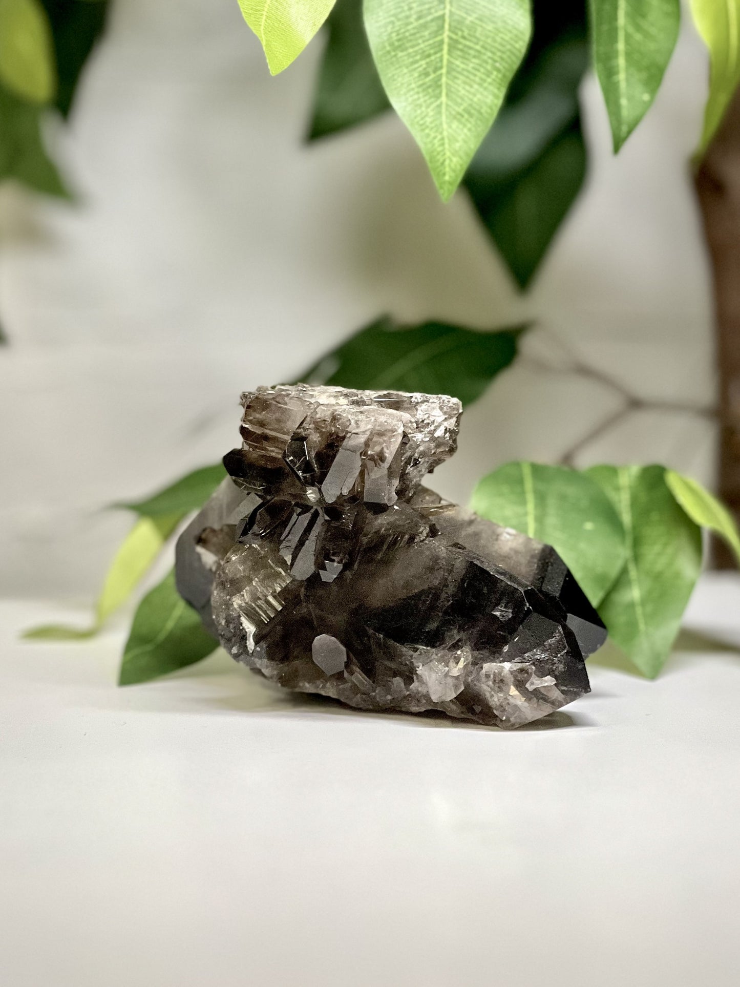 Smoky Quartz Cluster XL