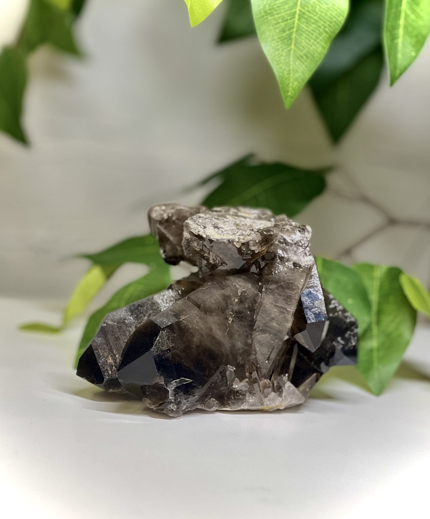 Smoky Quartz Cluster XL