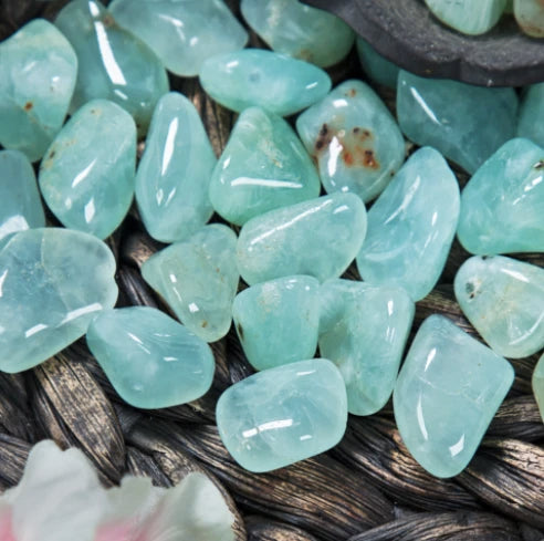 Mini Tumbled Prehnite Grade AA